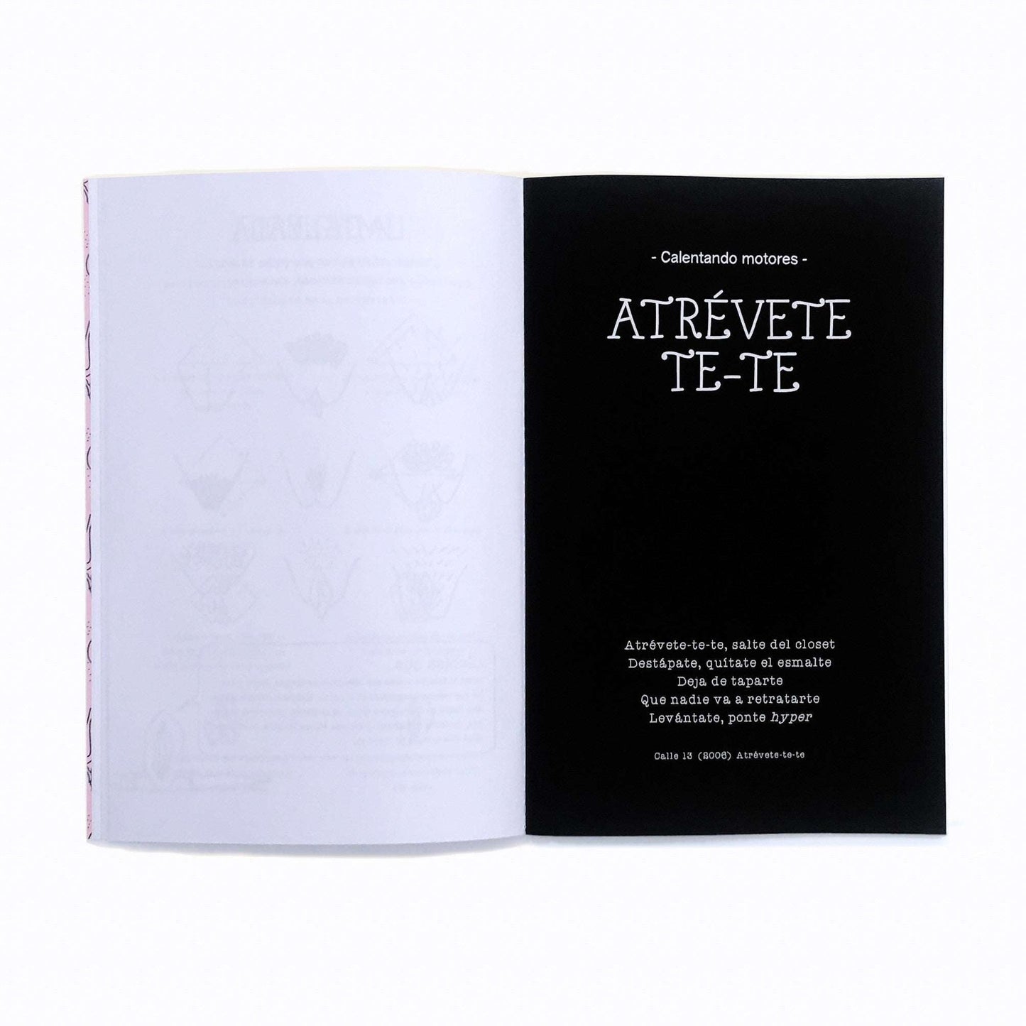 Severa Flor Playbook La Maleta Rosada