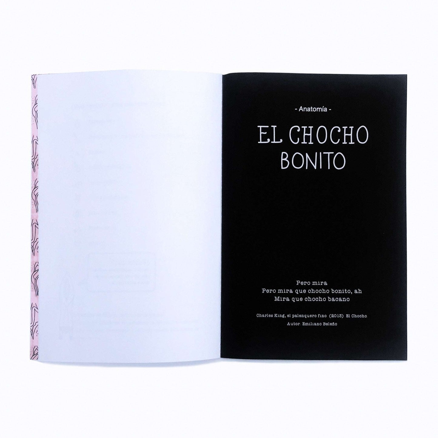 Severa Flor Playbook La Maleta Rosada