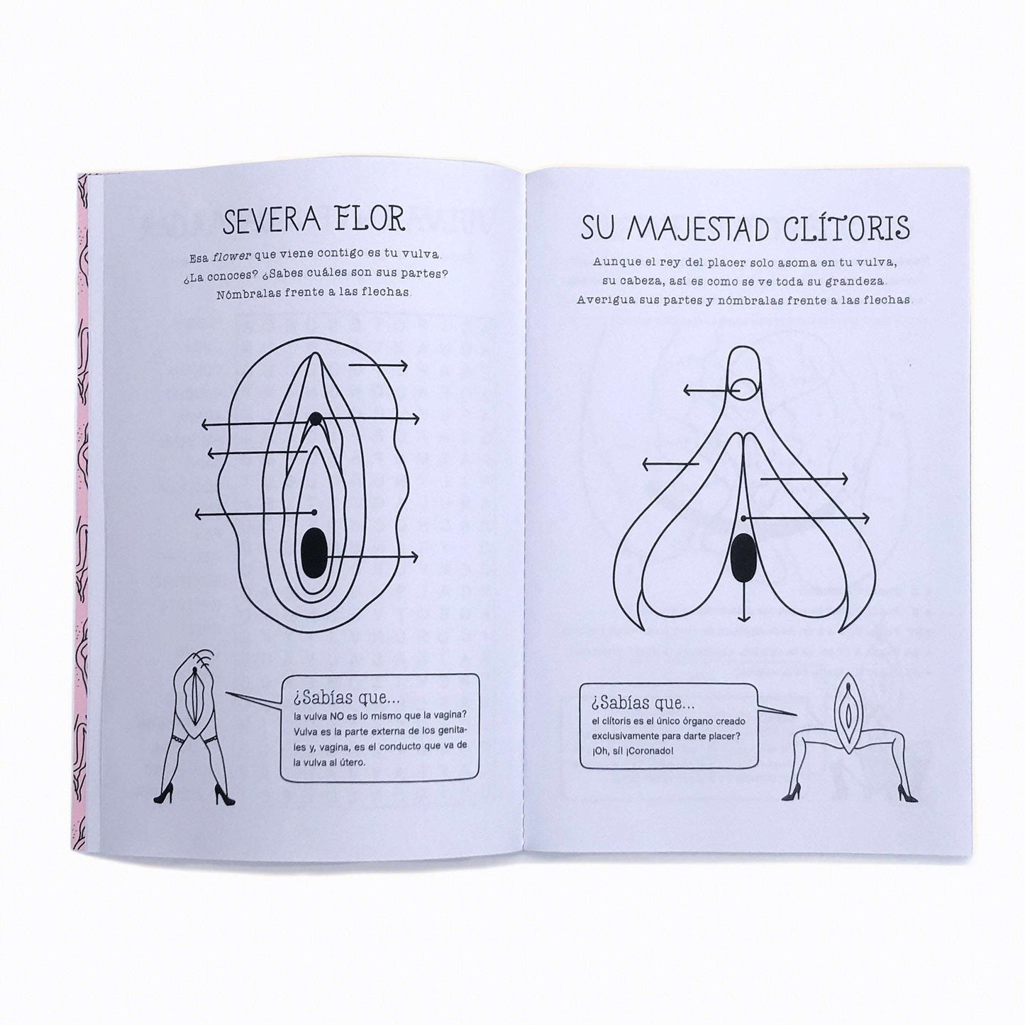 Severa Flor Playbook La Maleta Rosada