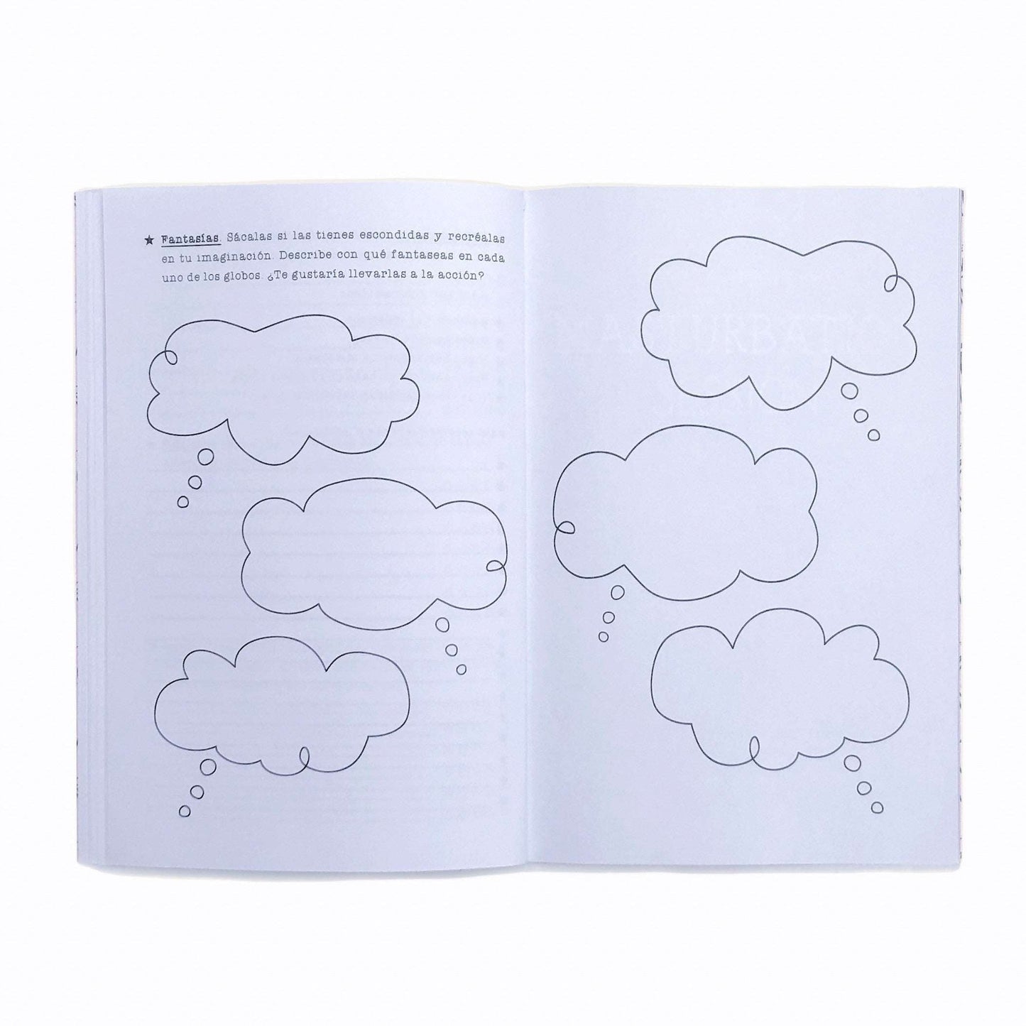 Severa Flor Playbook La Maleta Rosada