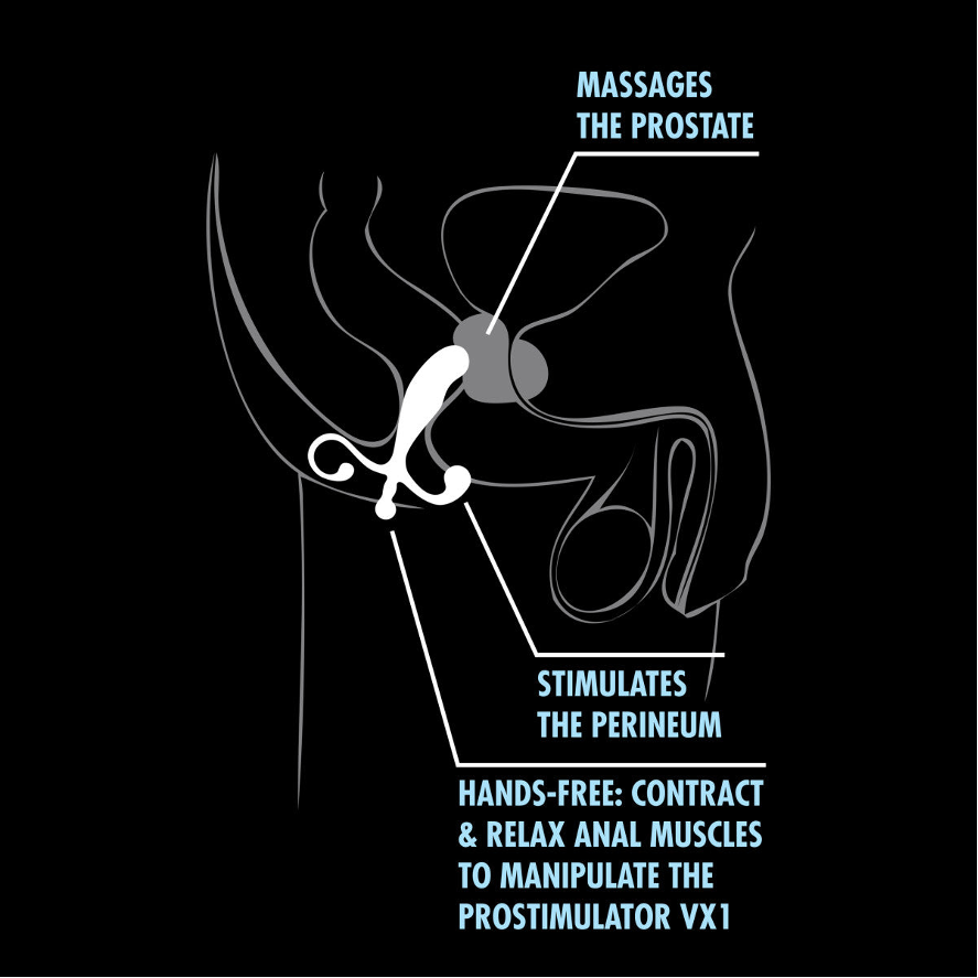 Estimulador de Próstata Anal Adventures - La Maleta Rosada Tienda Sexual