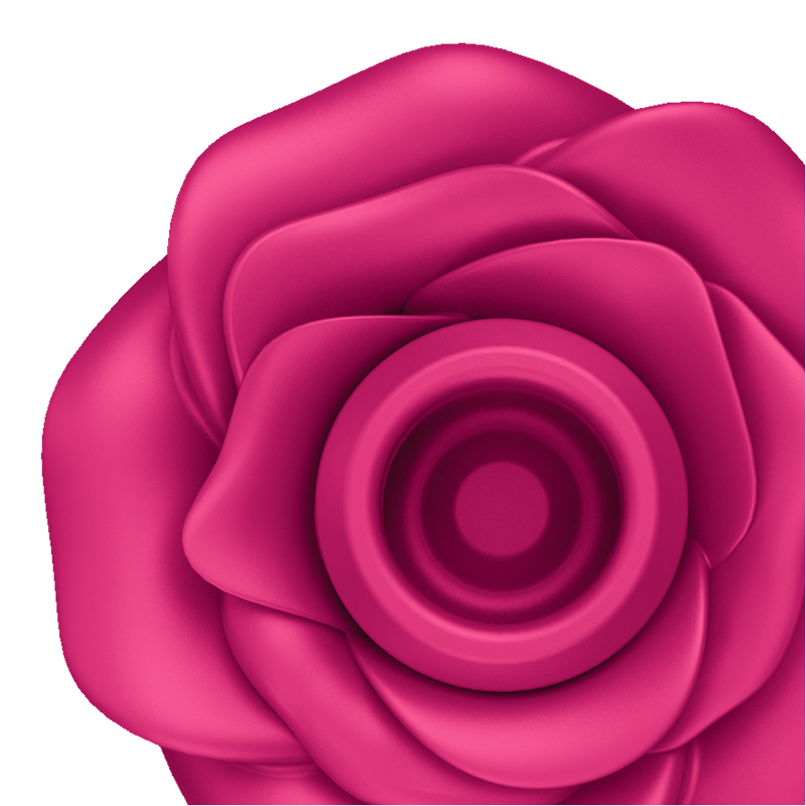 Satisfyer Pro 2 Classic Blossom – La Maleta Rosada Juguetes para Adulto